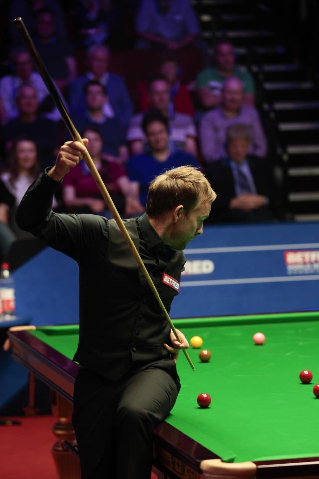 众多年轻球 众多年轻球